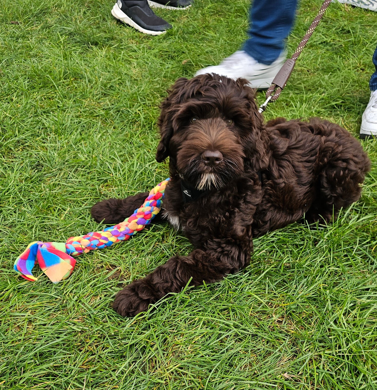 Tug Toys