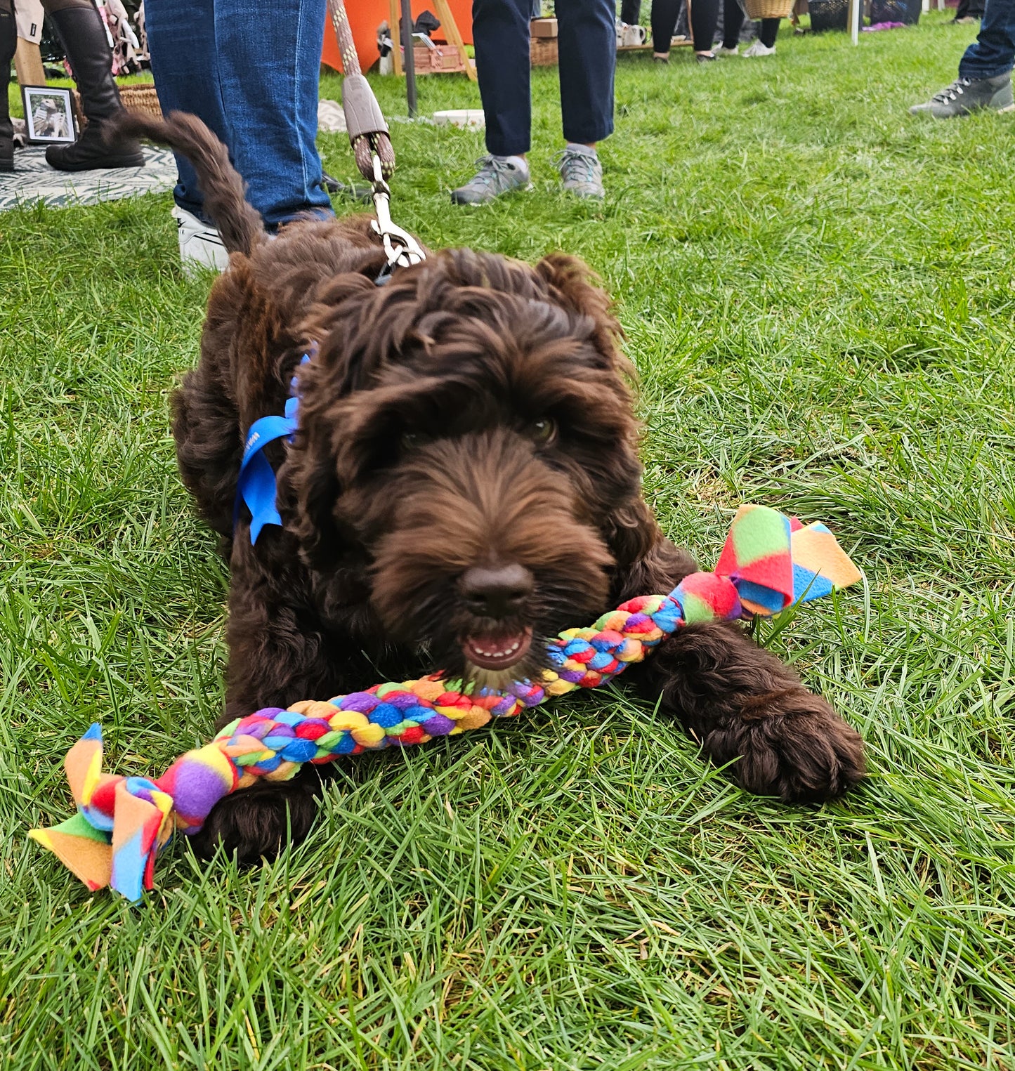 Tug Toys
