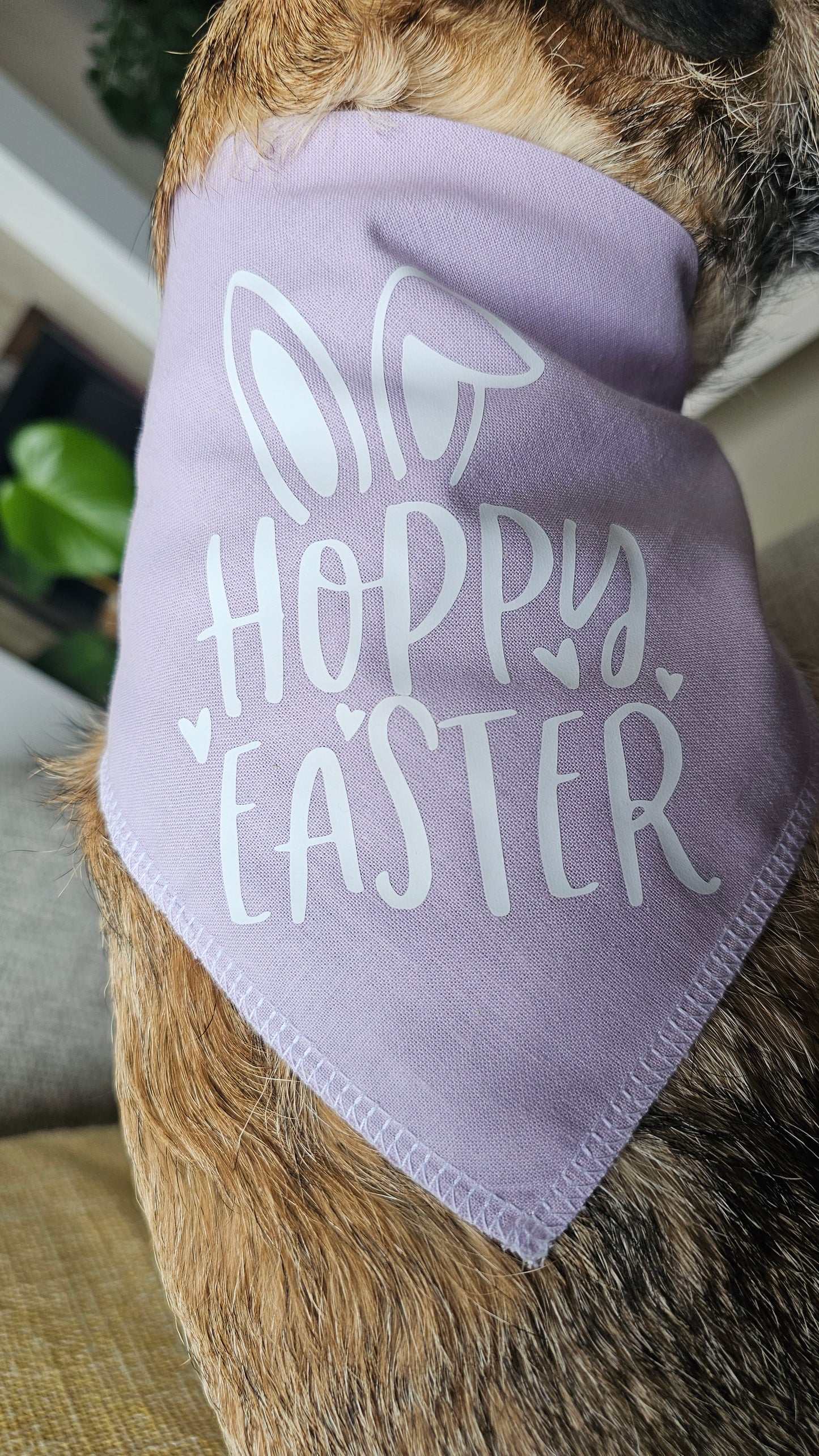 Hoppy Easter Bandana