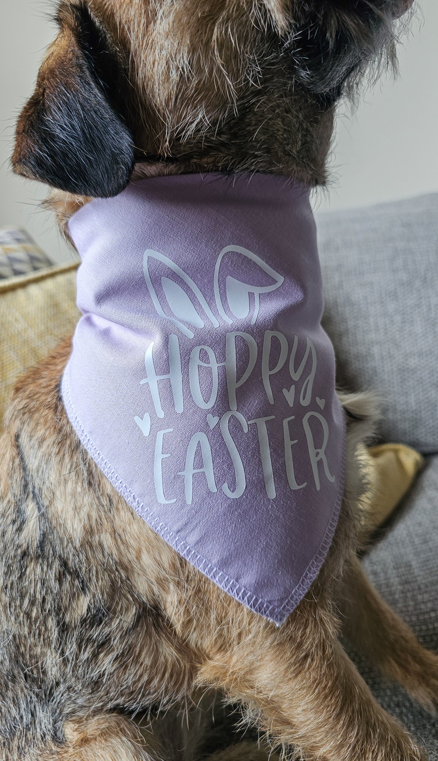 Hoppy Easter Bandana