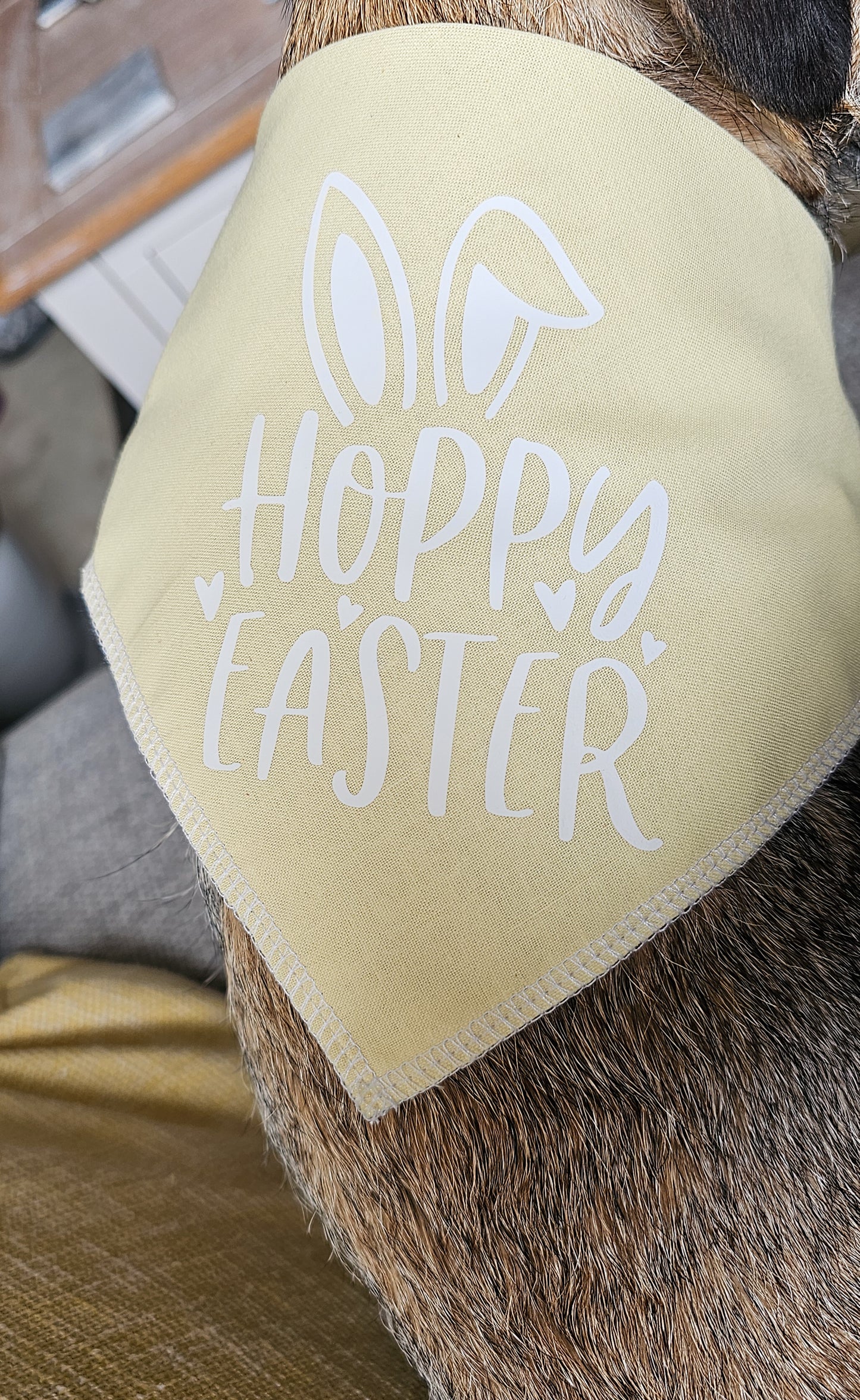 Hoppy Easter Bandana