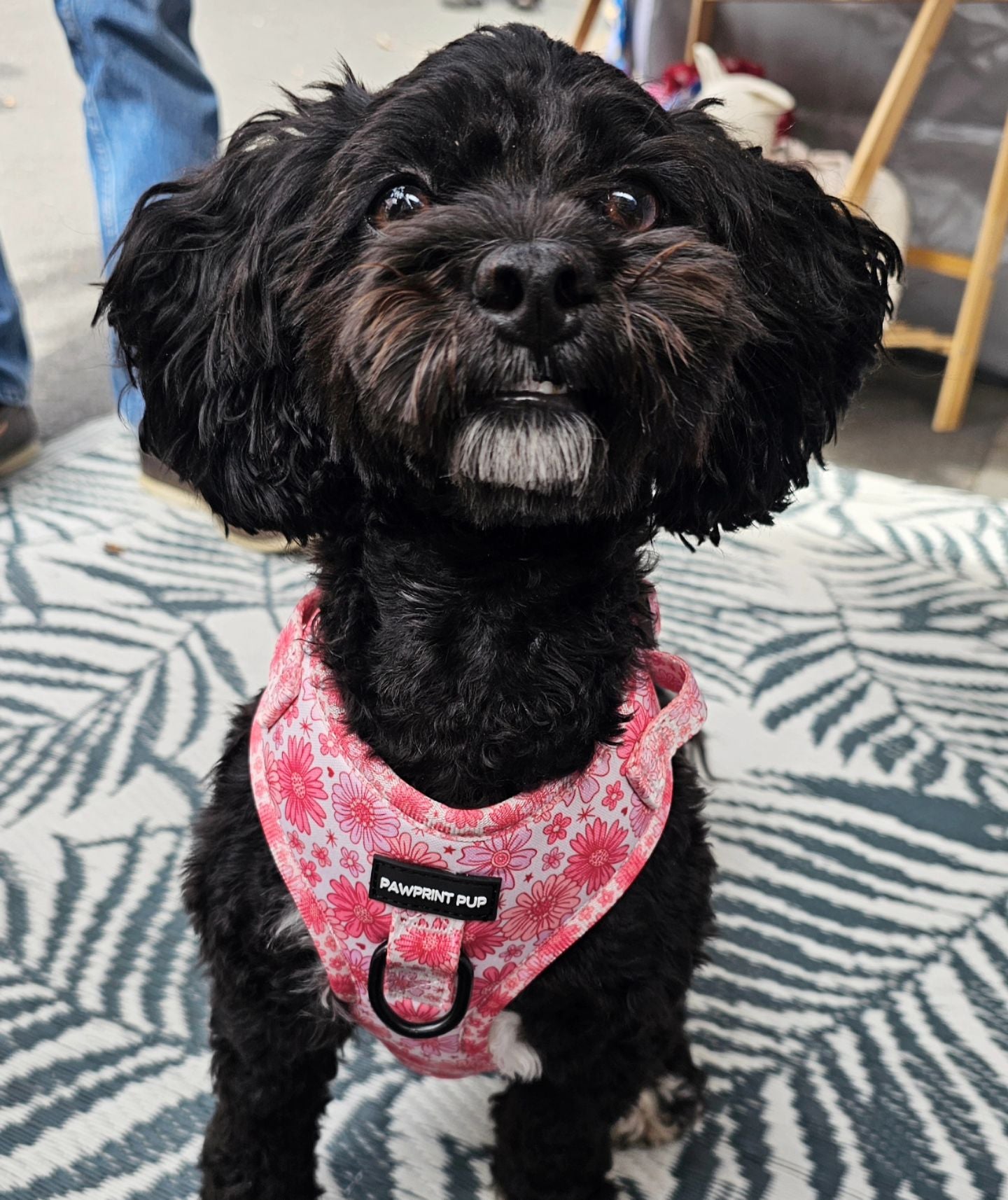 Adjustable Harness - Pink Raspberry