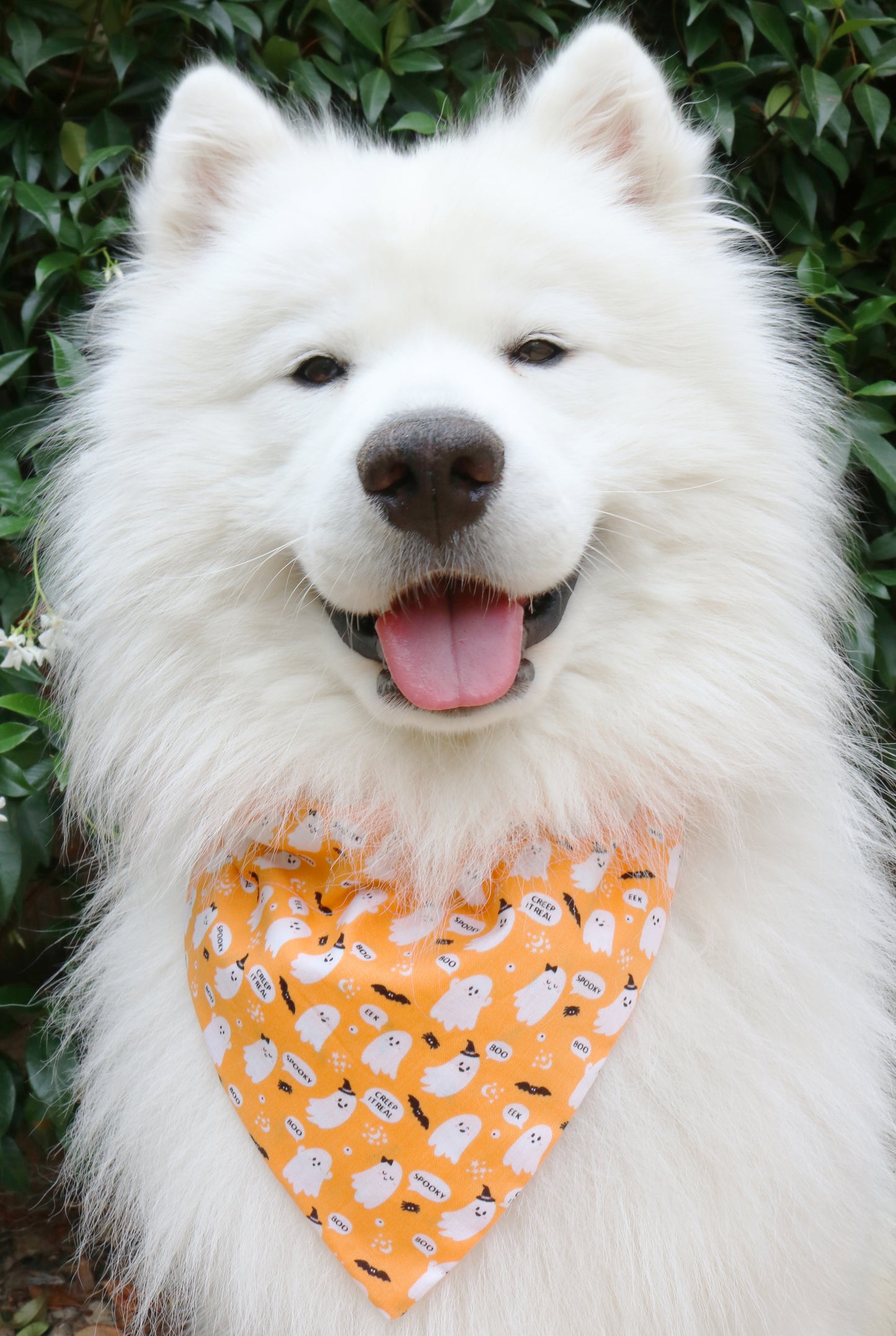 Halloween Ghost Bandana