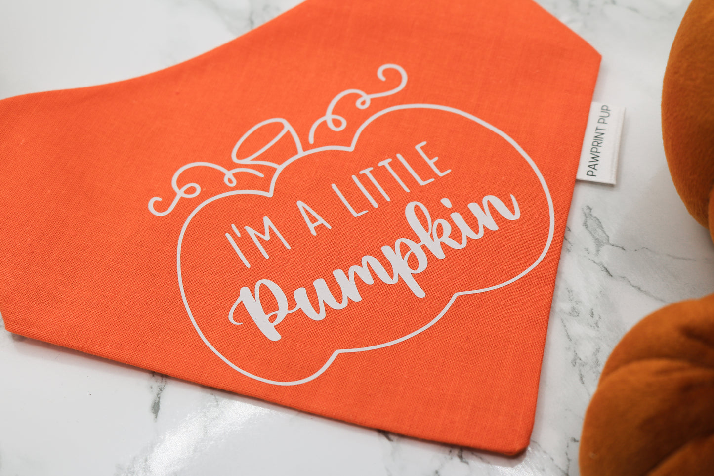 I'm a little Pumpkin Bandana