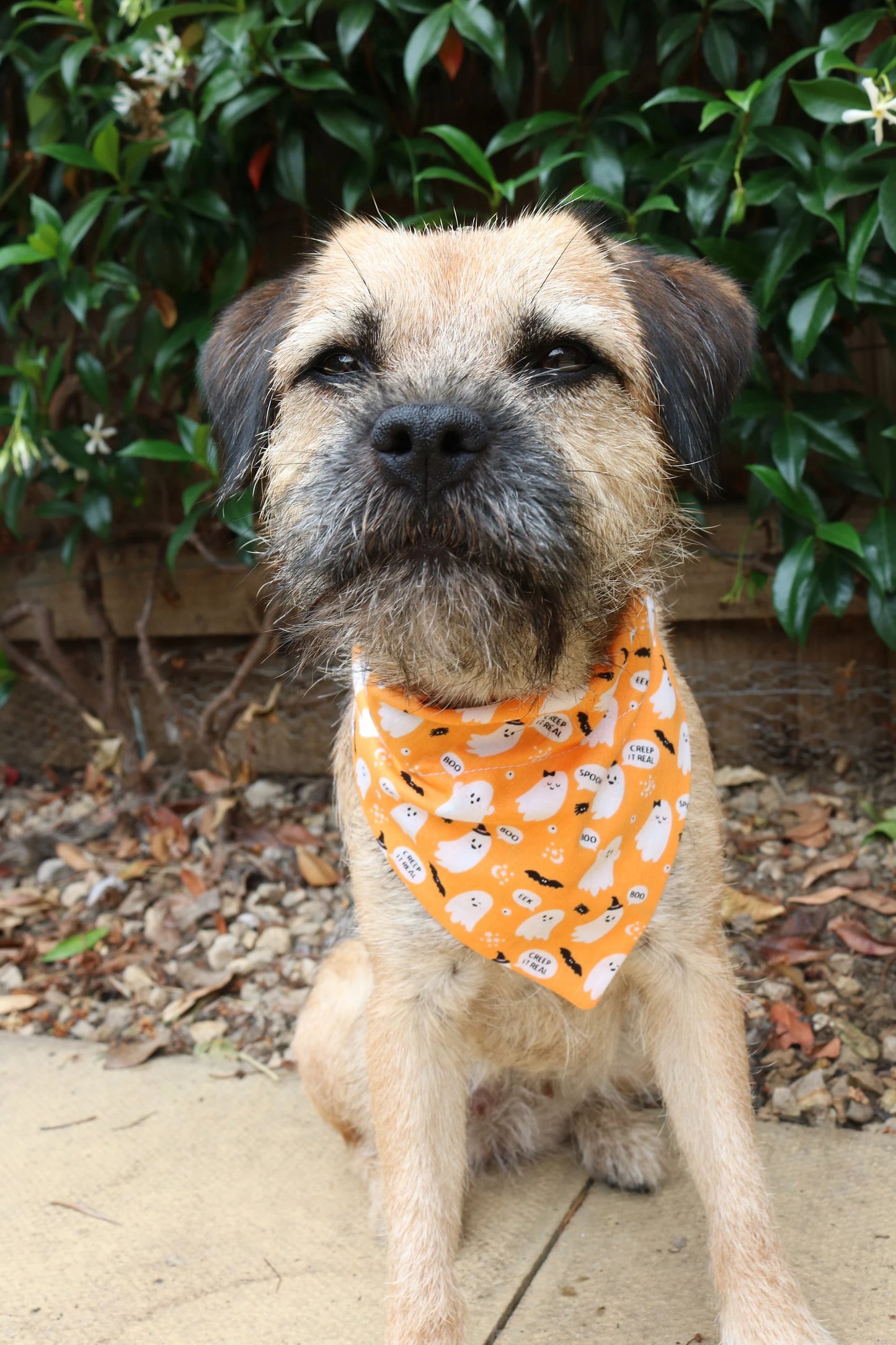 Halloween Ghost Bandana