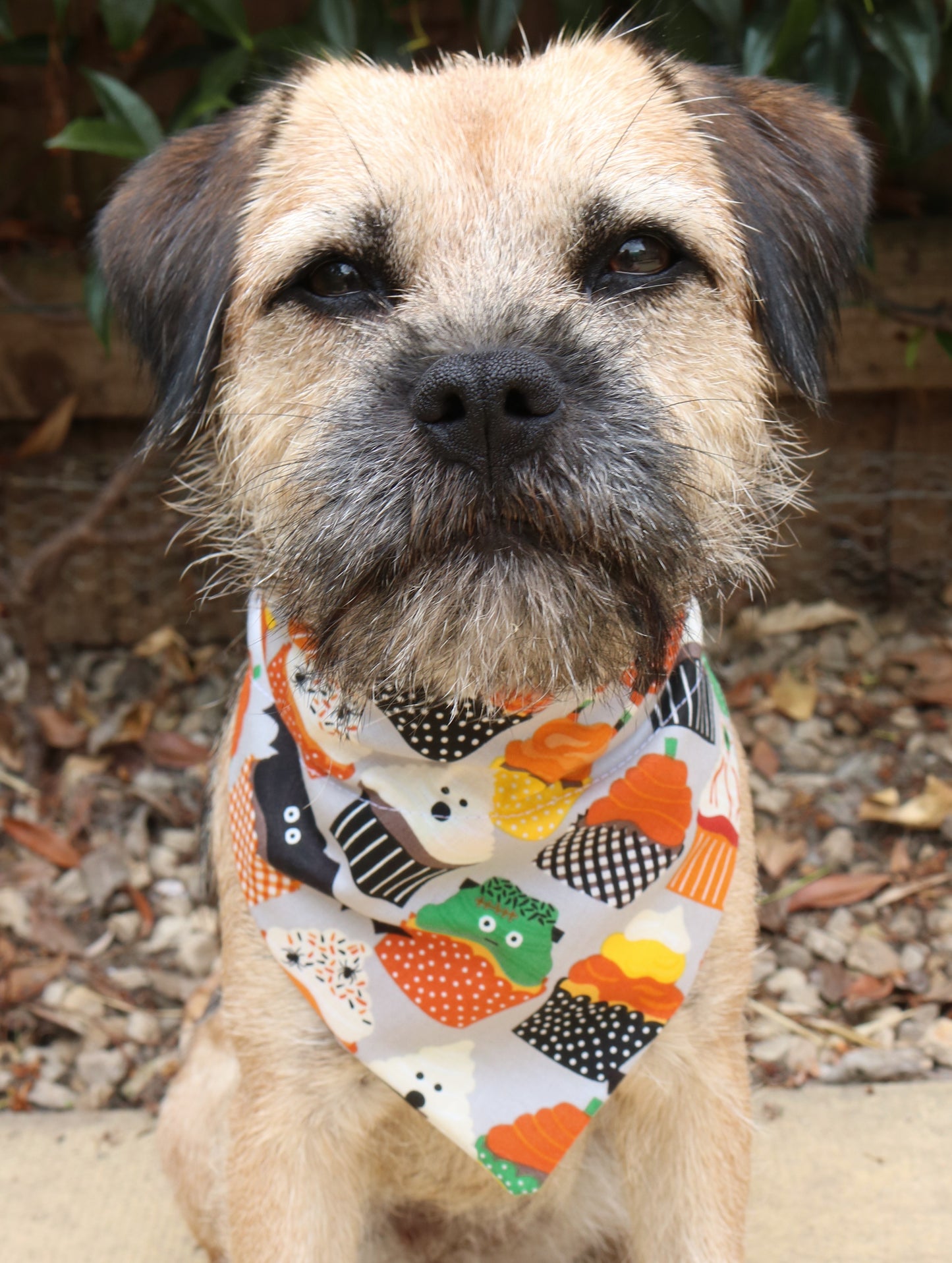 Halloween Cupcake Bandana