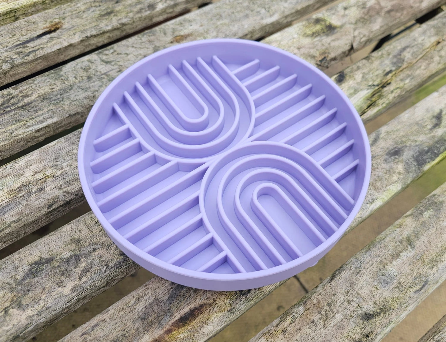 Enrichment & Slow Feeder Bowls