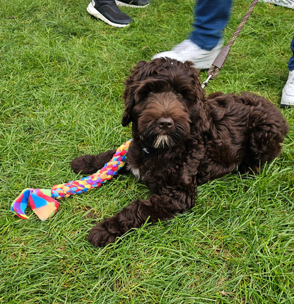 Tug Toys