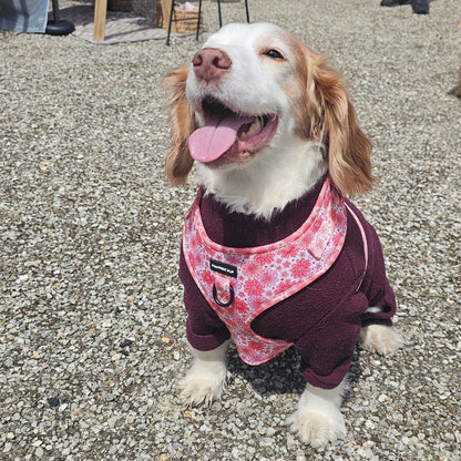 Adjustable Harness - Pink Raspberry