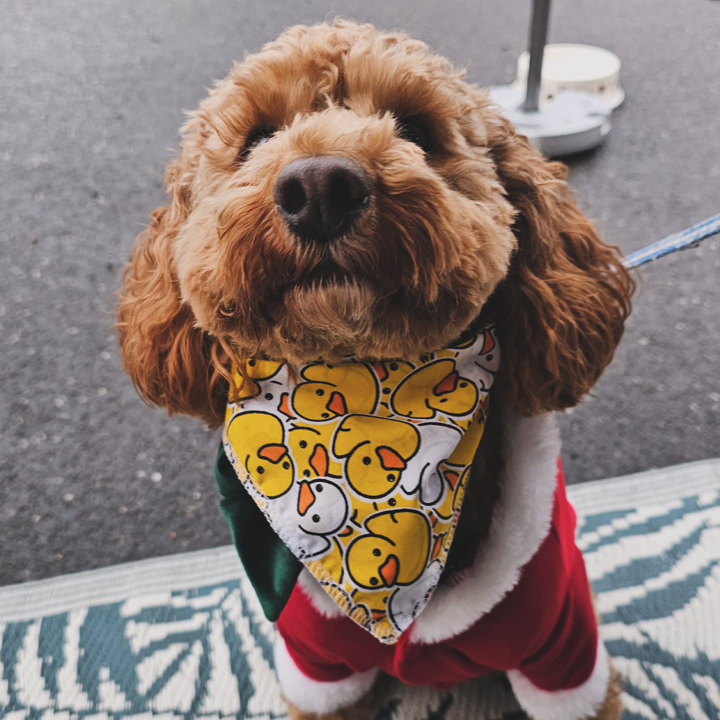 Rubber Duck Bandana