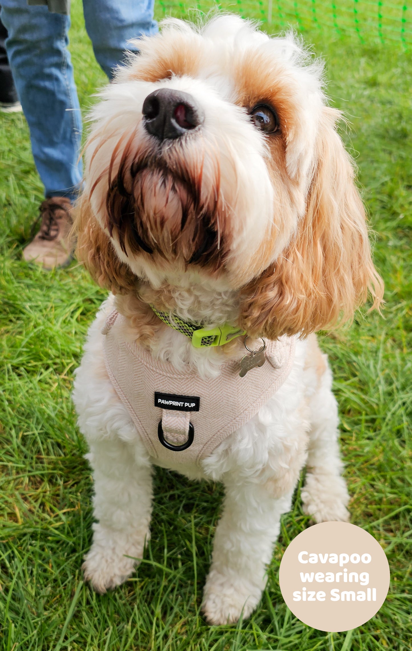 Adjustable Harness - Fawn Tweed