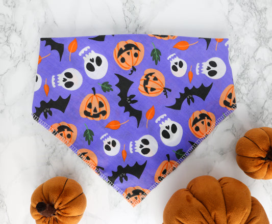 Purple Pumpkin Bandana