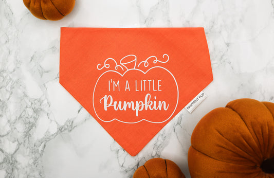 I'm a little Pumpkin Bandana