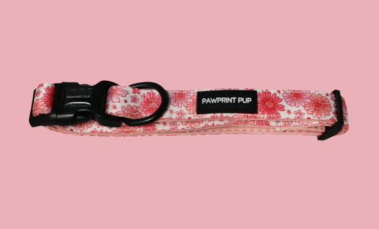 Pink Raspberry - Collar