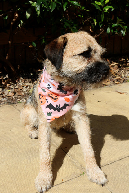 Pink Pumpkin Bandana