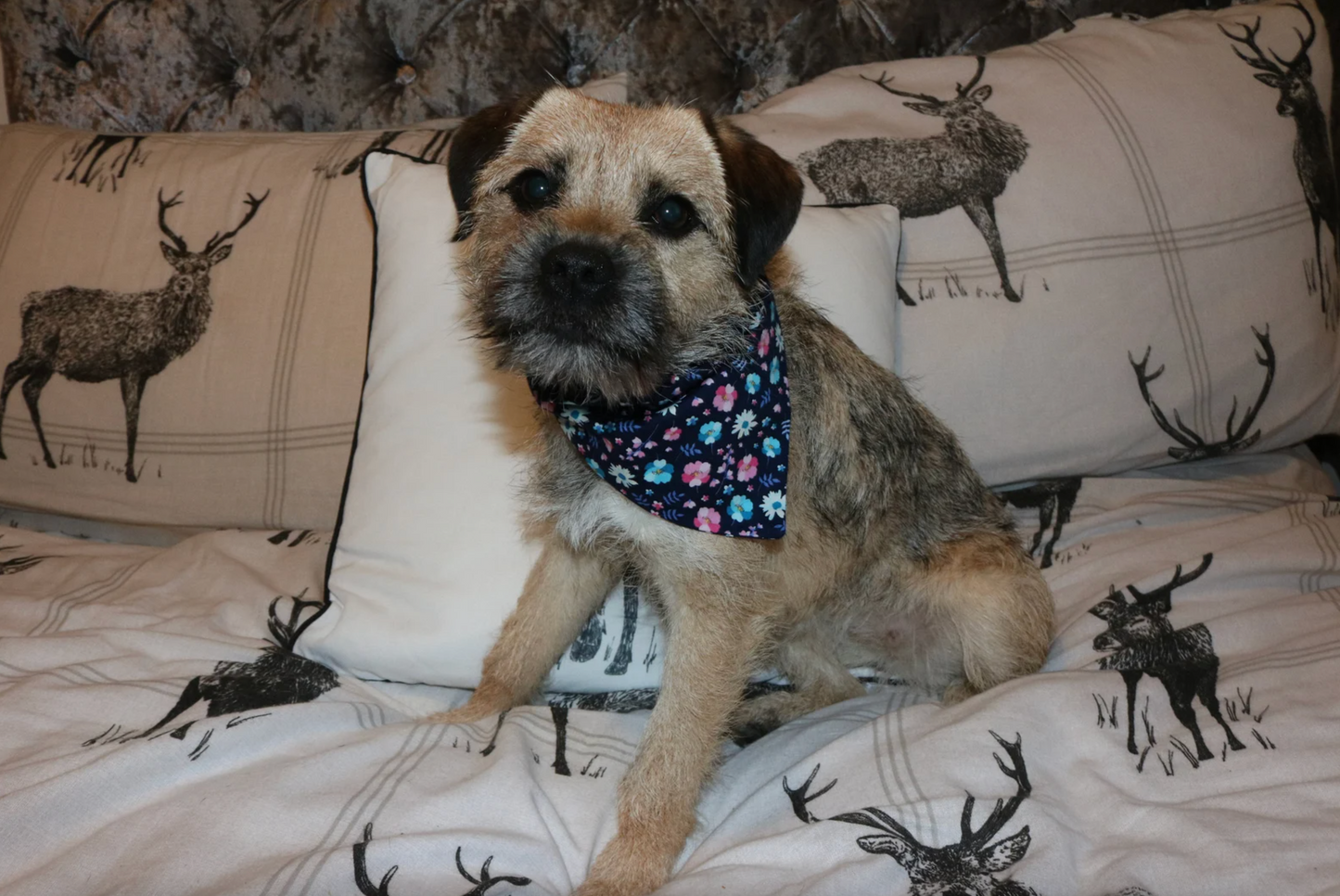 Flower Power Bandana