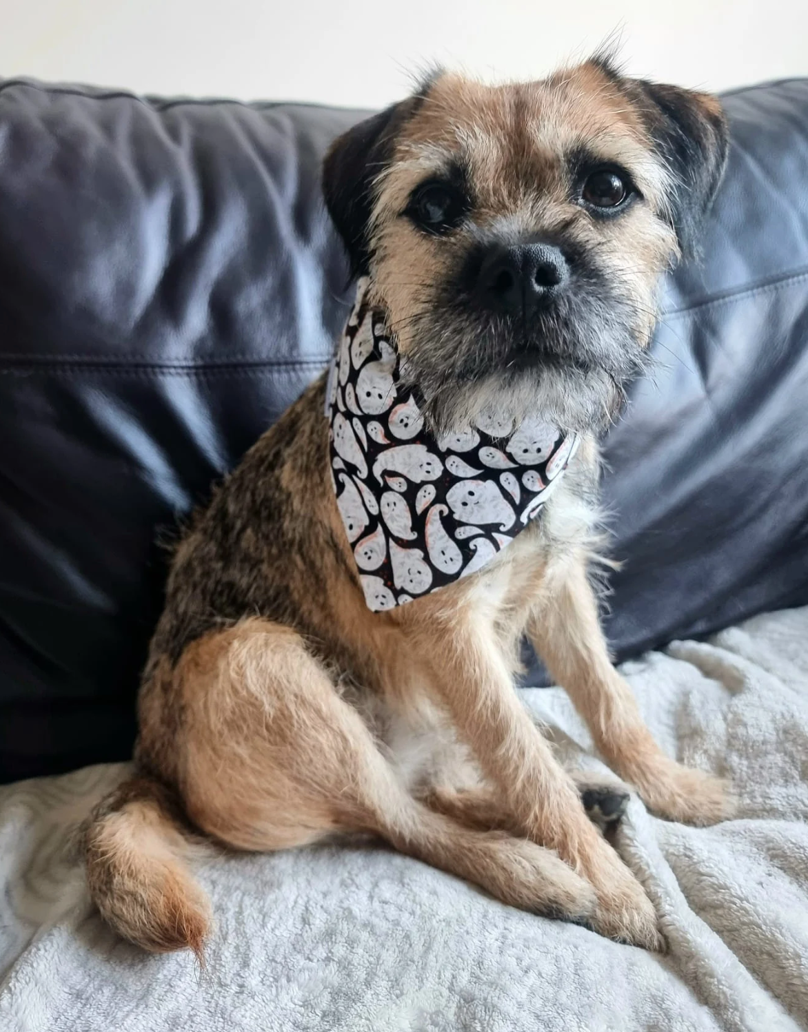 Spooky Ghost Bandana