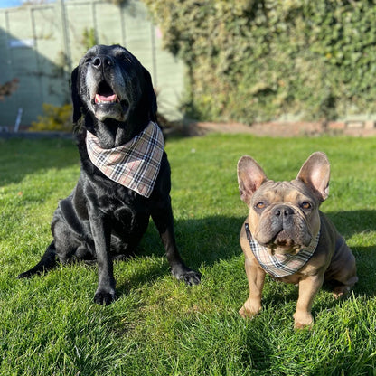Beige Tartan Bandana