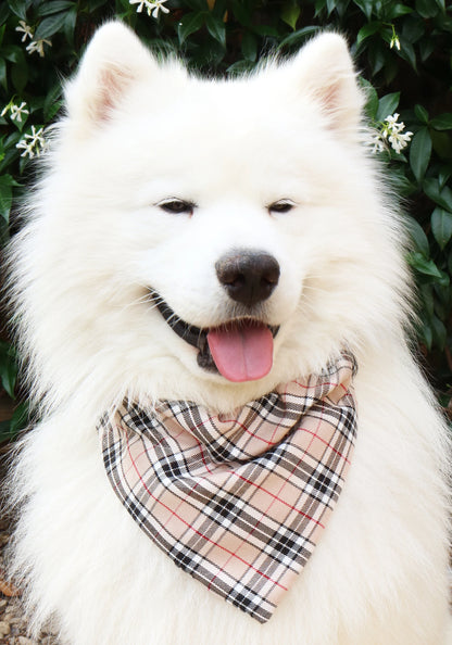 Beige Tartan Bandana