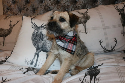 Red and White Tartan Bandana