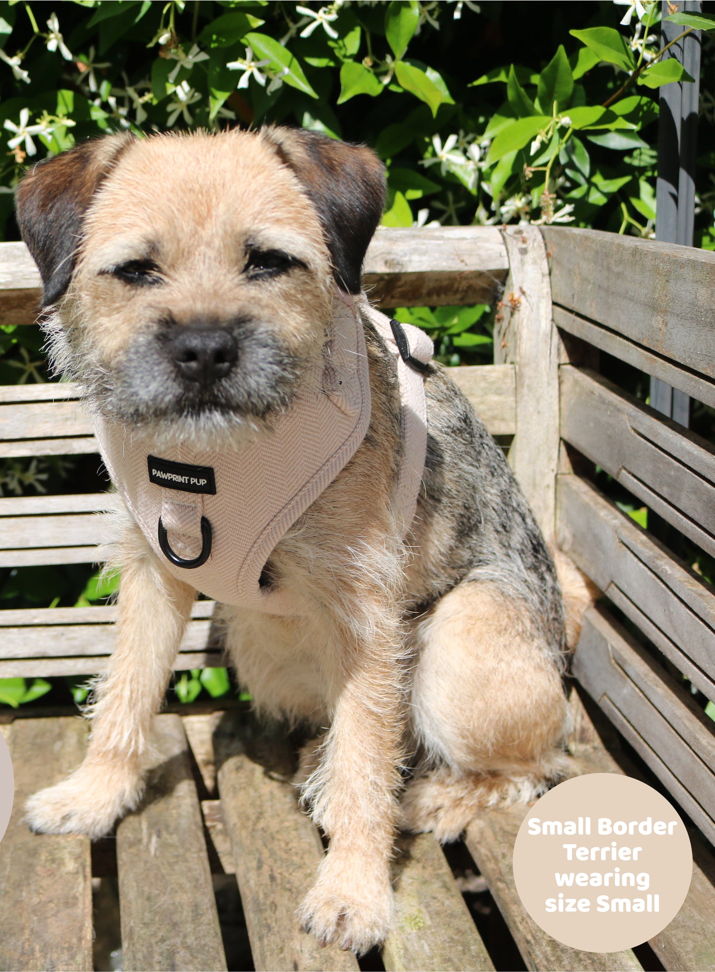 Adjustable Harness - Fawn Tweed